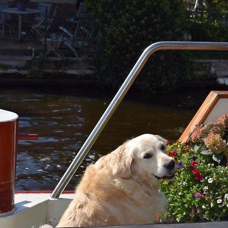 Aurora Bed and Breakfast Schiedam Εξωτερικό φωτογραφία