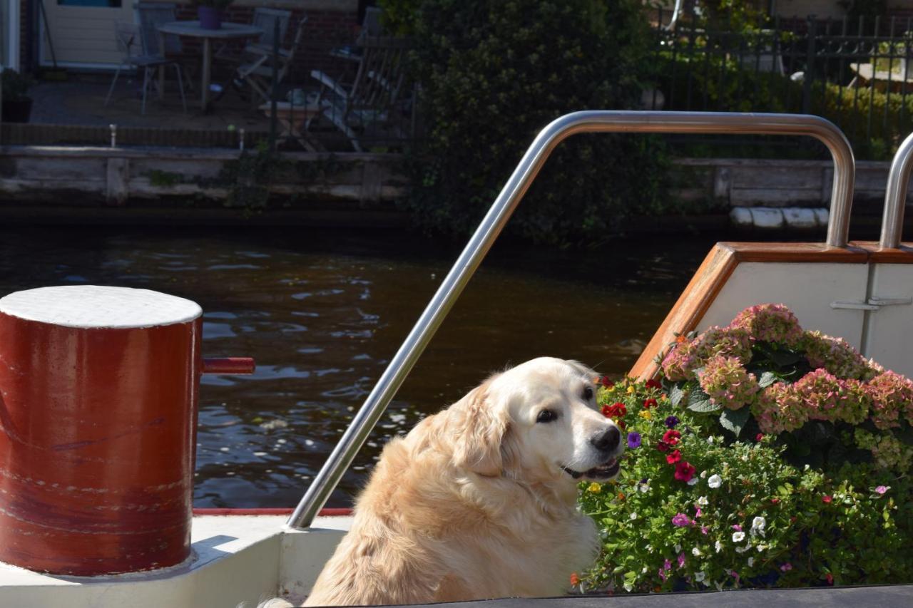 Aurora Bed and Breakfast Schiedam Εξωτερικό φωτογραφία